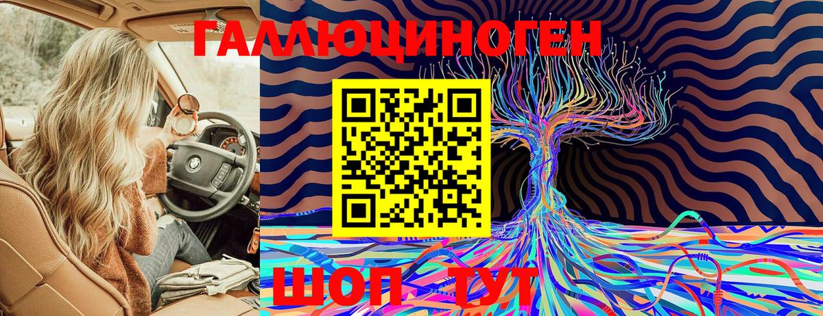 Псилоцибиновые грибы Psilocybe Богданович